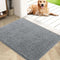 Dirt and debris trap mat for dogs